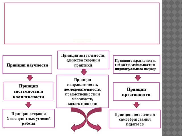 Единство теории и практики