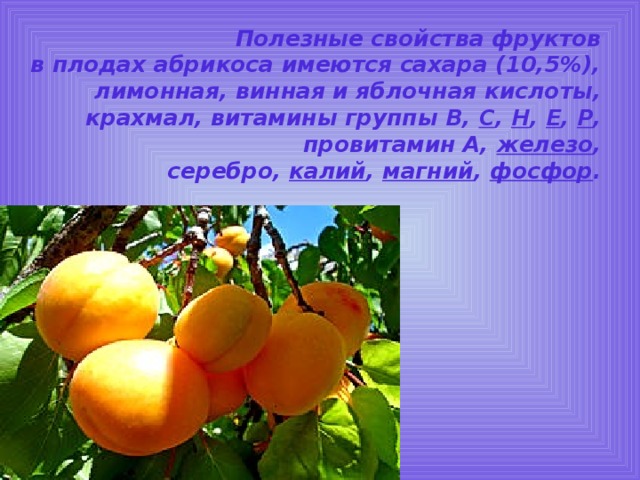 Полезные свойства фруктов    в плодах абрикоса имеются сахара (10,5%), лимонная, винная и яблочная кислоты, крахмал, витамины группы В,  С ,  Н ,  Е ,  Р , провитамин А,  железо , серебро,  калий ,  магний ,  фосфор .   