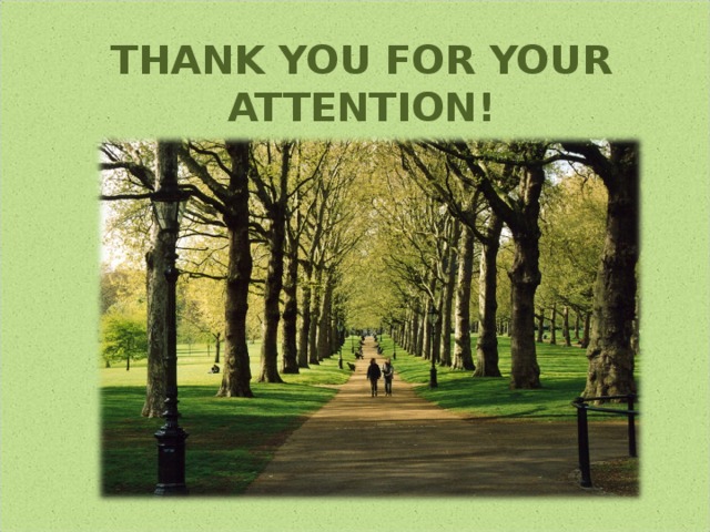 THANK YOU FOR YOUR ATTENTION! 