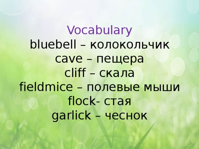  Vocabulary  bluebell – колокольчик  cave – пещера  cliff – скала  fieldmice – полевые мыши  flock- стая  garlick – чеснок   