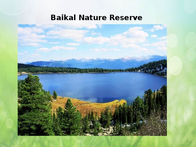 Baikal Nature Reserve   