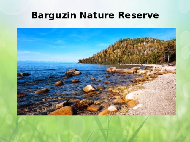 Barguzin Nature Reserve   