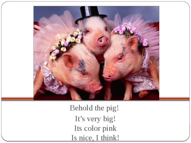 Behold the pig! It’s very big!  Its color pink  Is nice, I think!