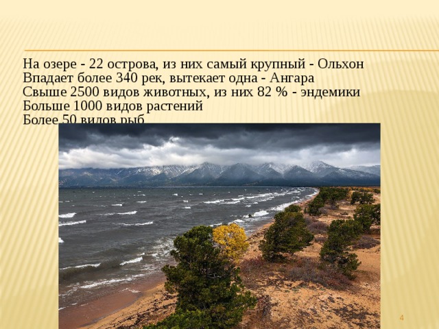 На озере - 22 острова, из них самый крупный - Ольхон  Впадает более 340 рек, вытекает одна - Ангара  Свыше 2500 видов животных, из них 82 % - эндемики  Больше 1000 видов растений  Более 50 видов рыб  