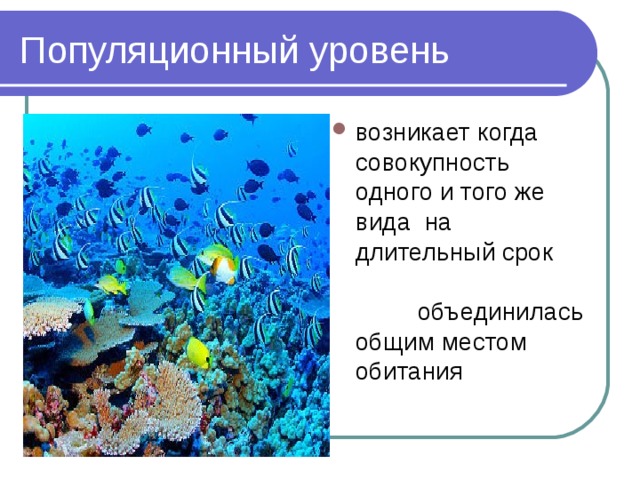 возникает когда совокупность одного и того же вида на длительный срок объединилась общим местом обитания 
