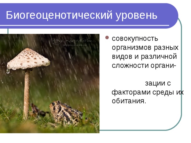 совокупность организмов разных видов и различной сложности органи- зации с факторами среды их обитания. 