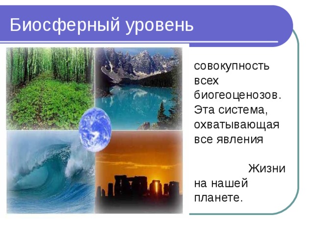 совокупность всех биогеоценозов. Эта система, охватывающая все явления Жизни на нашей планете. 
