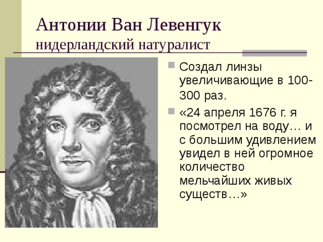 нидерландский натуралист Создал линзы увеличивающие в 100-300 раз.  «24 апреля 1676 г. я посмотрел на воду… и с большим удивлением увидел в ней огромное количество мельчайших живых существ…» 