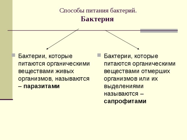 Способы питания бактерий.  Бактерия Бактерии, которые питаются органическими веществами живых организмов, называются – паразитами   Бактерии, которые питаются органическими веществами отмерших организмов или их выделениями называются – сапрофитами  