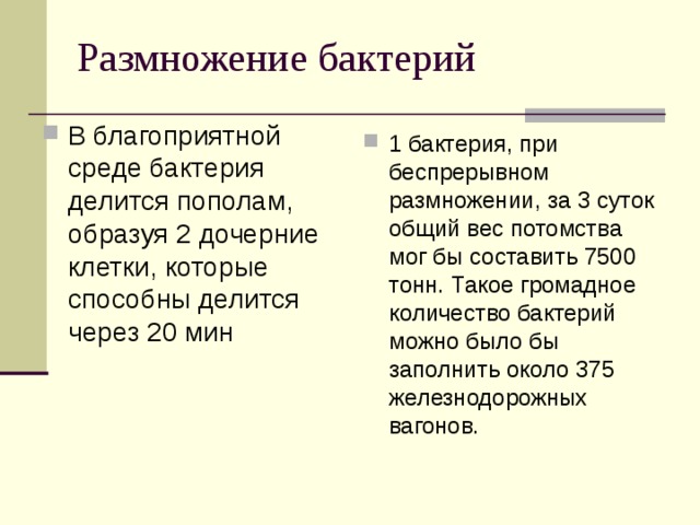 В благоприятной среде бактерия делится пополам, образуя 2 дочерние клетки, которые способны делится через 20 мин  1 бактерия, при беспрерывном размножении, за 3 суток общий вес потомства мог бы составить 7500 тонн. Такое громадное количество бактерий можно было бы заполнить около 375 железнодорожных вагонов. 