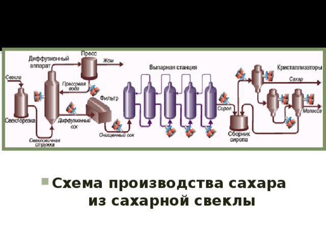 Выберите ошибочную схему взаимосвязей сахарная свекла
