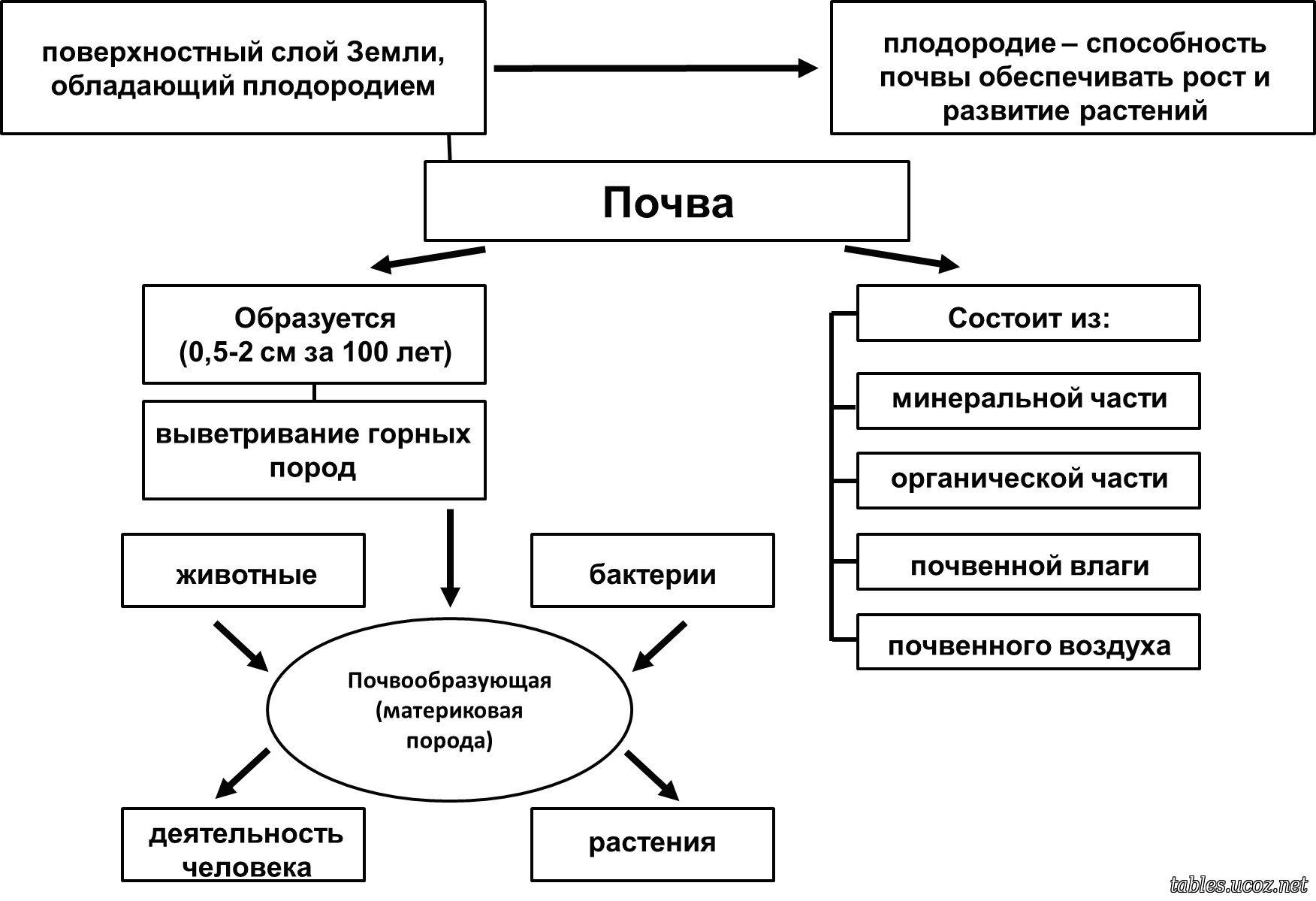 Дополните схему почва вписав недостающие понятия в этой системе почва свойства