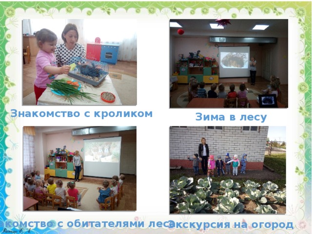 Знакомство с кроликом Зима в лесу Знакомство с обитателями леса Экскурсия на огород 