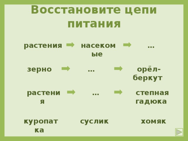 Схема цепи питания в степи