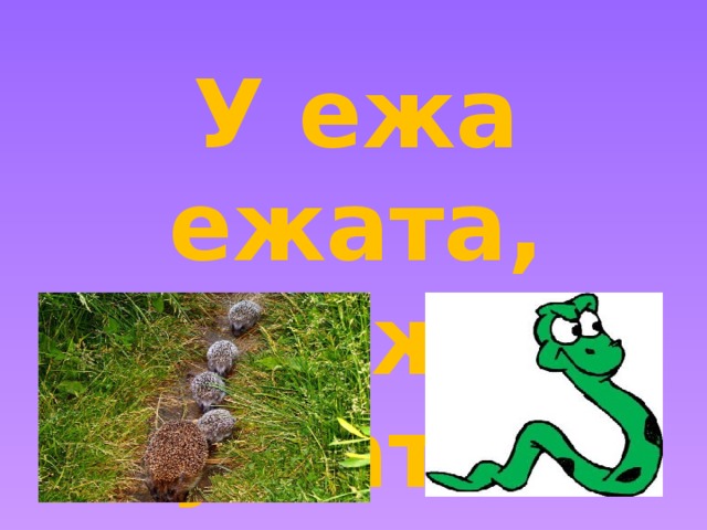 Рисунок к скороговорке у ежа ежата у ужа ужата картинки
