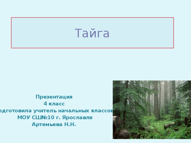 План описания природной зоны тайга 8 класс