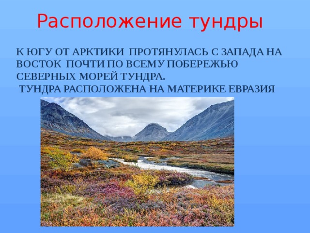 Тундра расположена. Расположение тундры. Тундра Евразия расположение на материке. Где находится зона тундры.