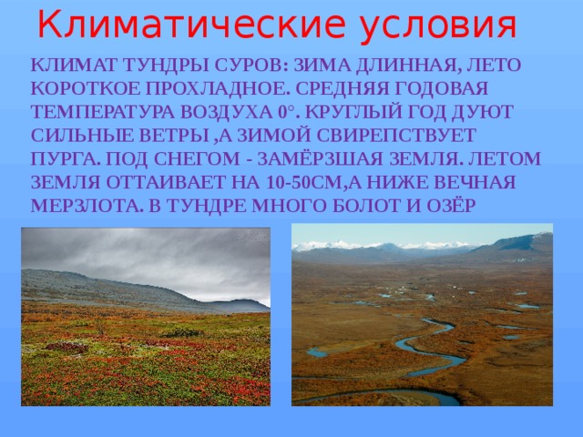 Тундра климат. Климат тундры 4 класс. Климатические условия тундры. Климатические условия тундры в России. Тундра климат растения.