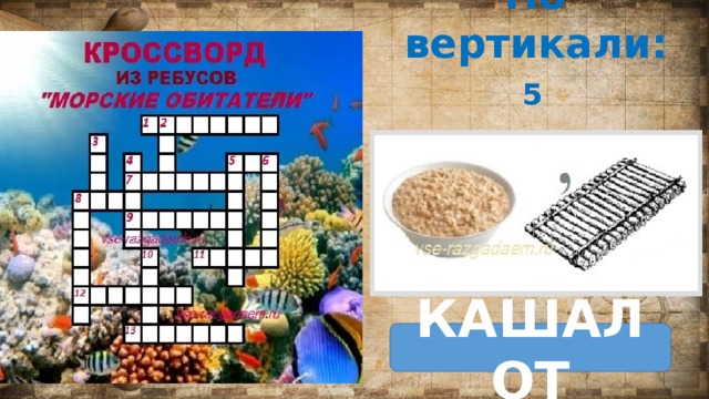 По вертикали: 5 КАШАЛОТ                                        