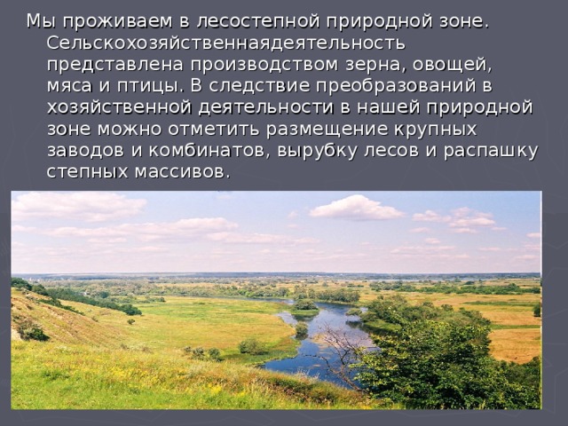 Почему лесостепи и степи относятся. Лесостепь 4 класс. Природные зоны степи и лесостепи. Внутренние воды степей и лесостепей.