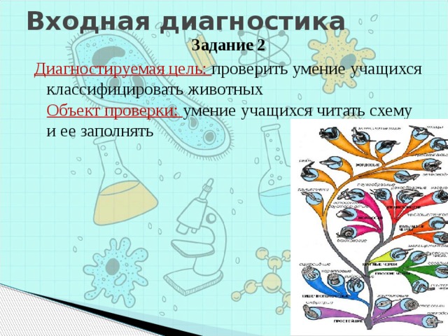 Входная диагностика Задание 2 Диагностируемая цель: проверить умение учащихся классифицировать животных  Объект проверки: умение учащихся читать схему и ее заполнять 