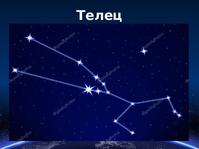 Телец 