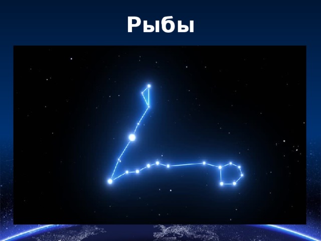 Рыбы 