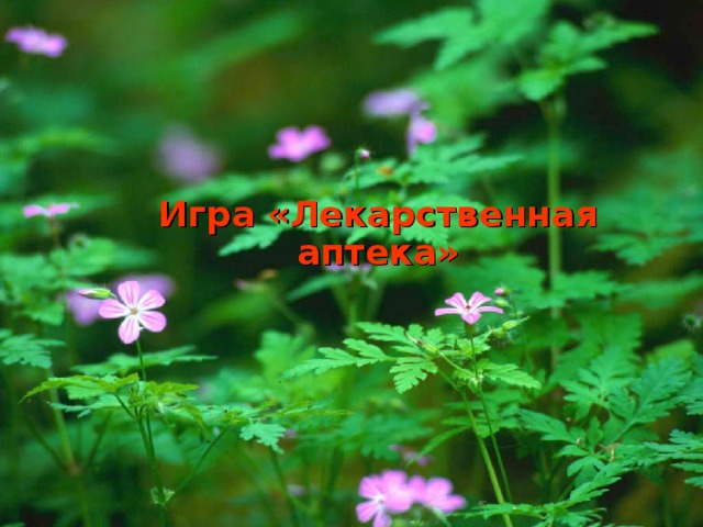 Игра «Лекарственная аптека»        