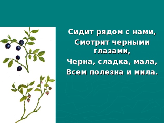 Сидит рядом с нами, Смотрит черными глазами, Черна, сладка, мала, Всем полезна и мила. 