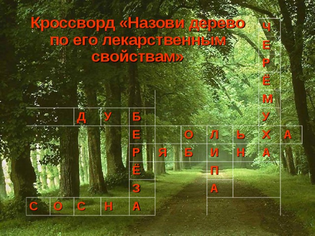 Кроссворд «Назови дерево по его лекарственным свойствам» Д У Ч Б Е С Е О Р Р Ё Ё С Я О З Н Б М Л А У И Ь Н П Х А А А 