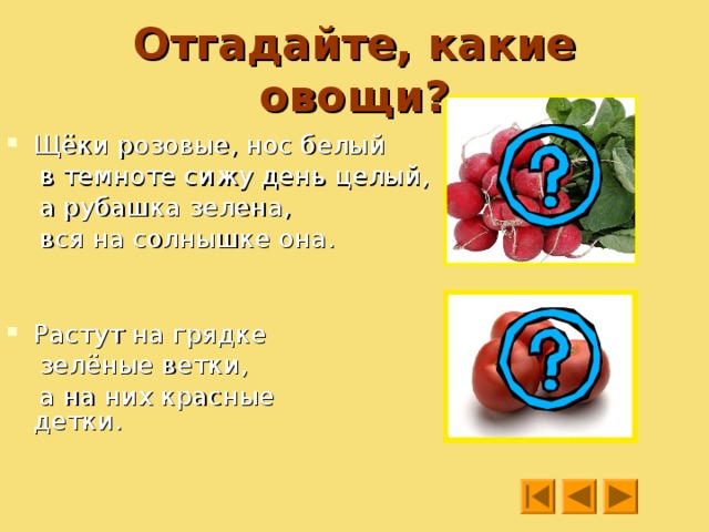 Что собирают люди осенью  в огороде? 
