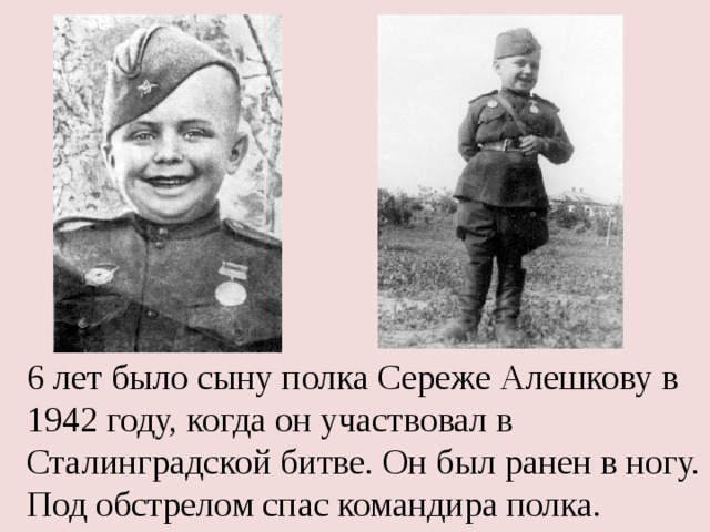 6 лет было сыну полка Сереже Алешкову в 1942 году, когда он участвовал в Сталинградской битве. Он был ранен в ногу. Под обстрелом спас командира полка. 
