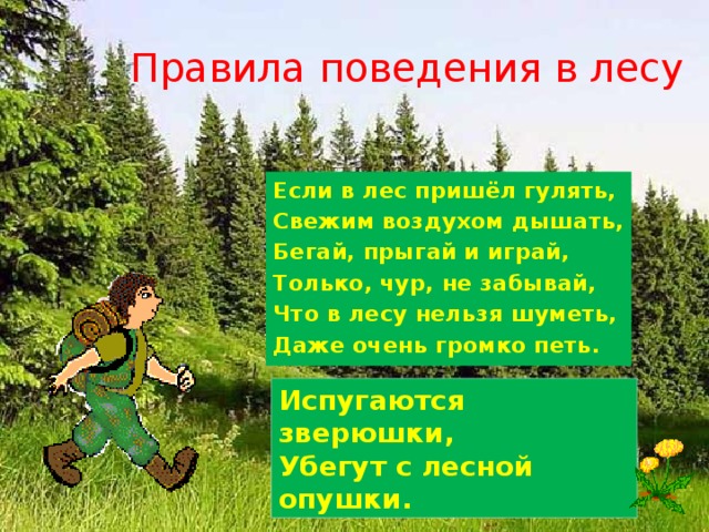 Прийти приходи леса. Если в лес пришел гулять свежим воздухом дышать. Если в лес пришел гулять свежим воздухом дышать стих. Если ты пришел в лес правила поведения. Почему нельзя шуметь в лесу.