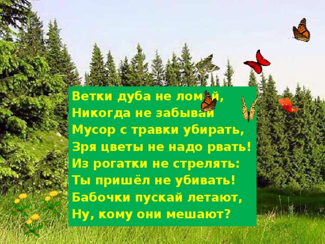 Ветки дуба не ломай, Никогда не забывай Мусор с травки убирать, Зря цветы не надо рвать! Из рогатки не стрелять: Ты пришёл не убивать! Бабочки пускай летают, Ну, кому они мешают? 