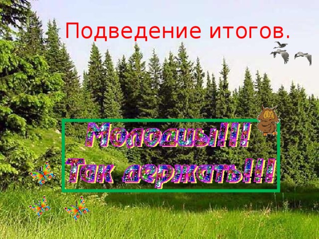 Подведение итогов. 
