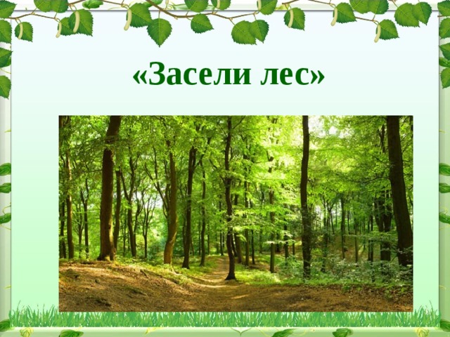 «Засели лес» 