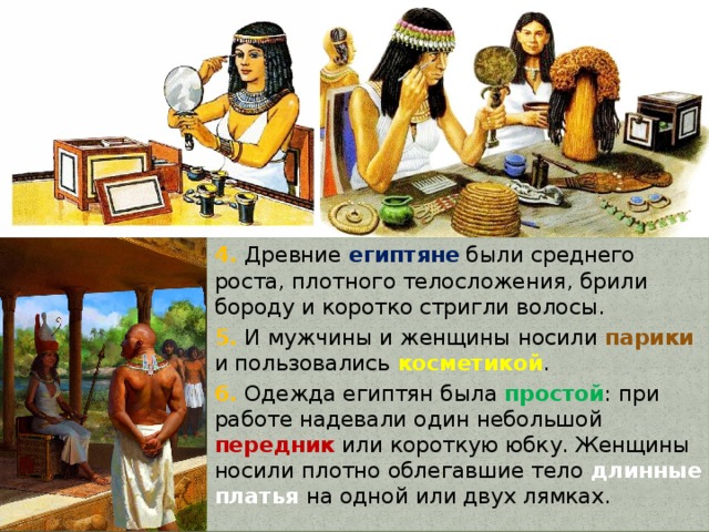 4. Древние египтяне были среднего роста, плотного телосложения, брили бороду и коротко стригли волосы. 5. И мужчины и женщины носили парики и пользовались косметикой . 6. Одежда египтян была простой : при работе надевали один небольшой передник или короткую юбку. Женщины носили плотно облегавшие тело длинные платья на одной или двух лямках. 