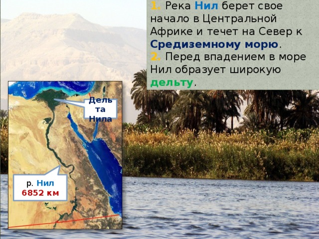 1. Река Нил берет свое начало в Центральной Африке и течет на Север к Средиземному морю . 2. Перед впадением в море Нил образует широкую дельту . Дельта Нила р. Нил 6852 км 