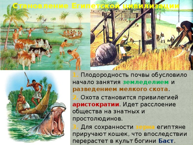 Становление Египетской цивилизации 1. Плодородность почвы обусловило начало занятия земледелием и разведением мелкого скота . 2. Охота становится привилегией аристократии . Идет расслоение общества на знатных и простолюдинов. 3. Для сохранности зерна египтяне приручают кошек, что впоследствии перерастет в культ богини Баст . 