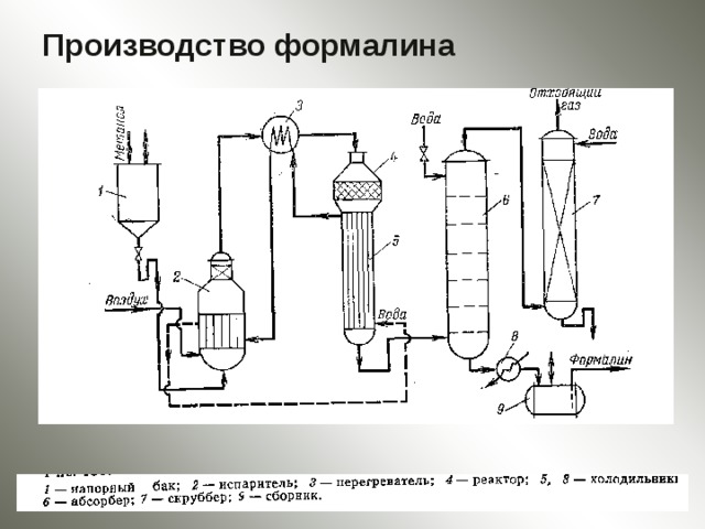 Организм показанный на рисунке стал основой для промышленного получения