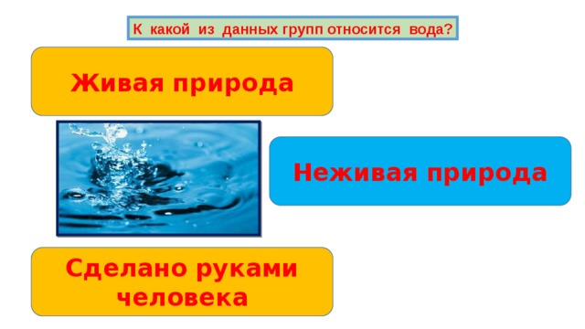 К какой из данных групп относится вода? Живая природа Неживая природа Сделано руками человека 