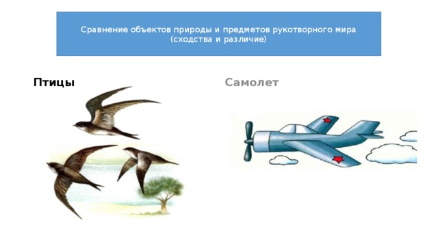 Сравнение объектов природы и предметов рукотворного мира (сходства и различие) Птицы Самолет 