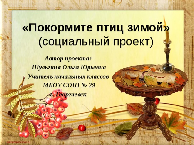 «Покормите птиц зимой»  (социальный проект) Автор проекта: Шульгина Ольга Юрьевна Учитель начальных классов МБОУ СОШ № 29 г. Георгиевск   
