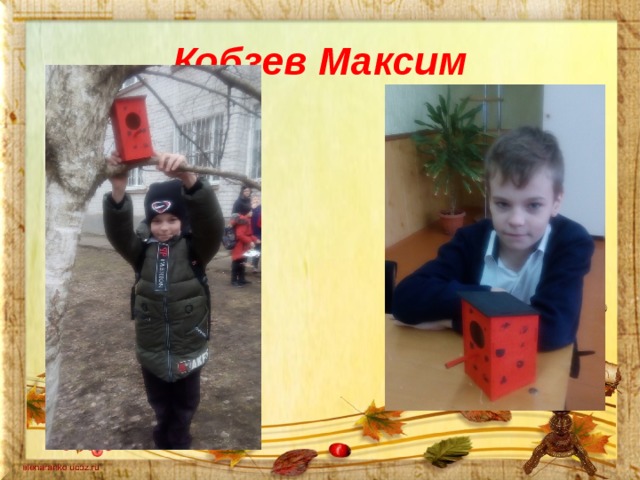 Кобзев Максим 