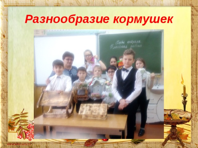 Разнообразие кормушек 