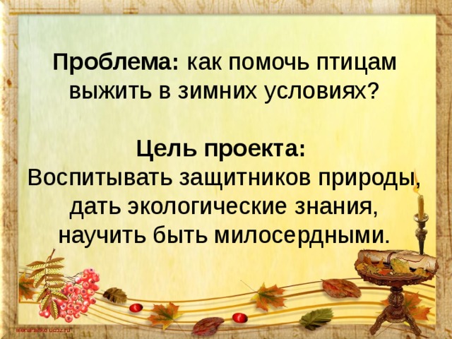 Проблема: как помочь птицам выжить в зимних условиях?   Цель проекта:  Воспитывать защитников природы, дать экологические знания, научить быть милосердными.   