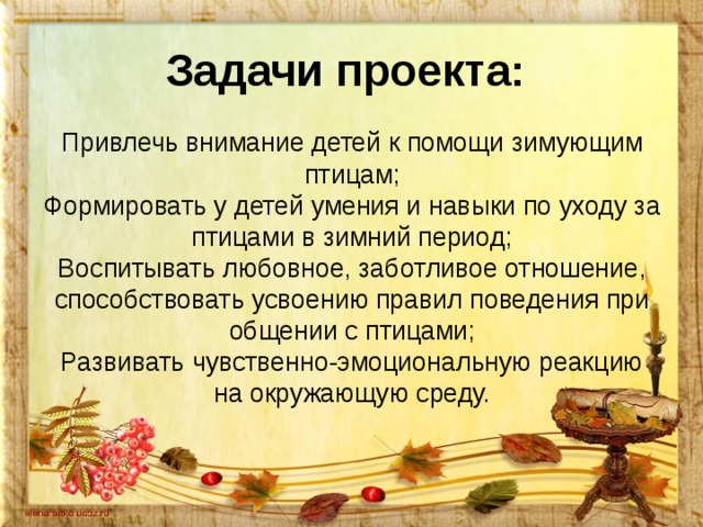 Задачи проекта:   Привлечь внимание детей к помощи зимующим птицам;  Формировать у детей умения и навыки по уходу за птицами в зимний период;  Воспитывать любовное, заботливое отношение, способствовать усвоению правил поведения при общении с птицами;  Развивать чувственно-эмоциональную реакцию на окружающую среду.   