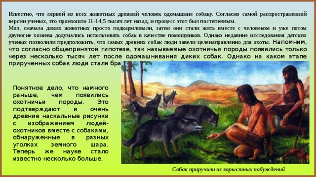 Уроки приручения часть 2. Древний человек приручил собаку. Человек одомашнил животных. Одомашнивание животных. Одомашнивание диких животных.