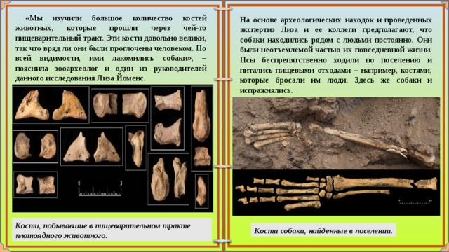 Эти картины стали неотъемлемой частью вернисажей