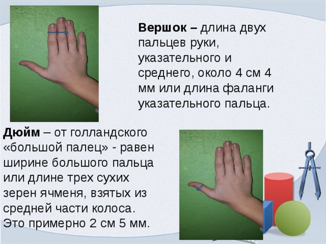  Вершок –  длина двух пальцев руки, указательного и среднего, около 4 см 4 мм или длина фаланги указательного пальца. Дюйм – от голландского «большой палец» - равен ширине большого пальца или длине трех сухих зерен ячменя, взятых из средней части колоса. Это примерно 2 см 5 мм. 